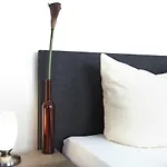 Hotel New In 3*